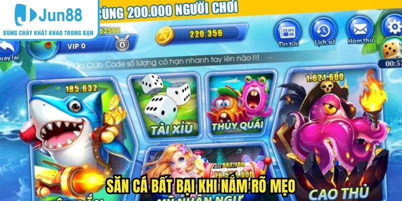 Săn cá bất bại khi nắm rõ mẹo